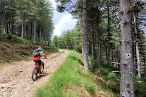 fietsverhuur dorp van karakter