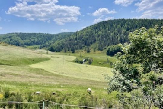 bicycle rental village of character
